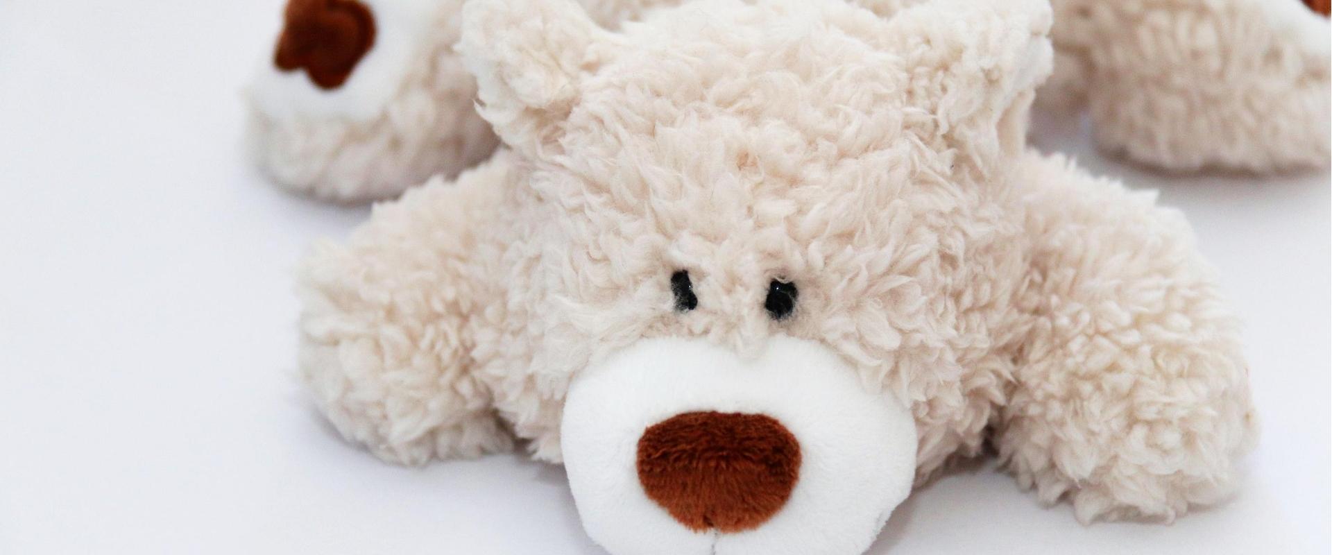 Pillowfort Shop 26 Pillowfort Shop -Pillowfort Shop teddy 8783348 1920